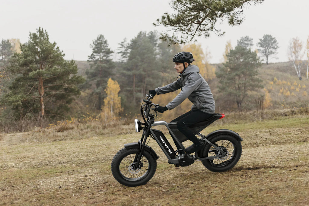 WINDHORSE D3 Elektrikli Bisiklet
