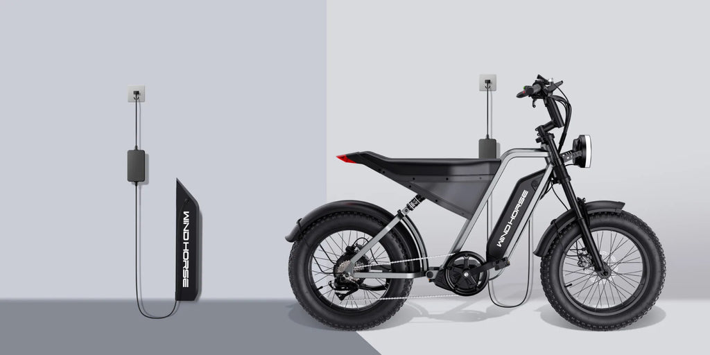 WINDHORSE D3 Elektrikli Bisiklet