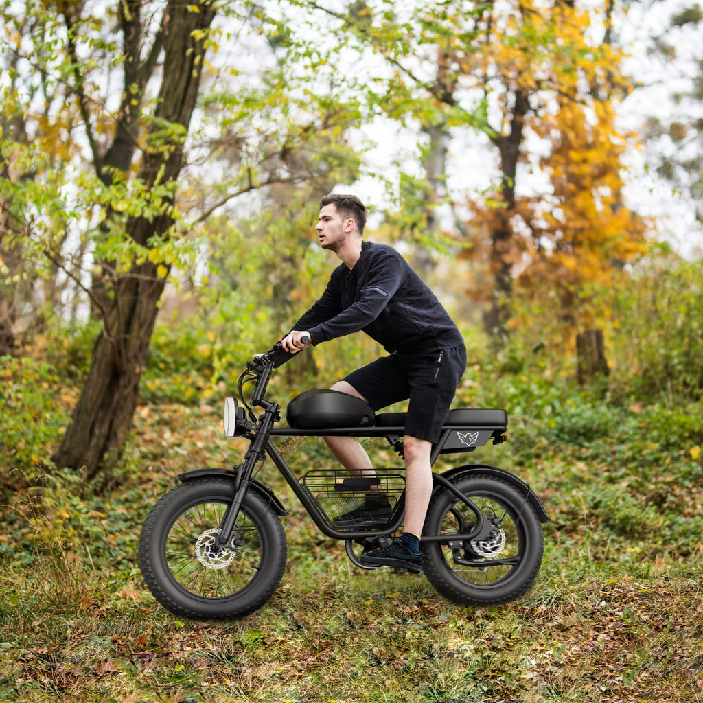 WINDHORSE D5 Elektrikli Bisiklet