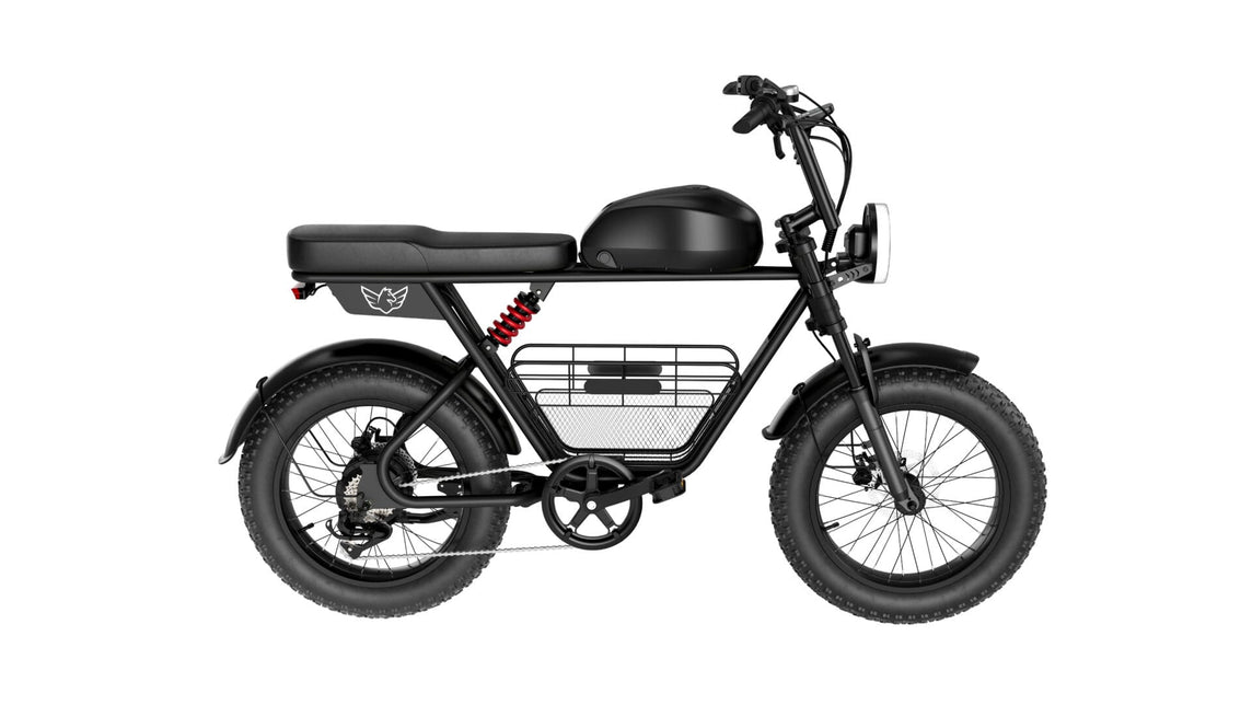 WINDHORSE D5 Elektrikli Bisiklet
