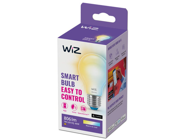 Wiz Led MODERN AMPUL Buzlu Cam Ampul 60W A60 E27