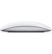 APPLE MAGIC MOUSE