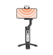 Hohem iSteady V2s Black Gimbal