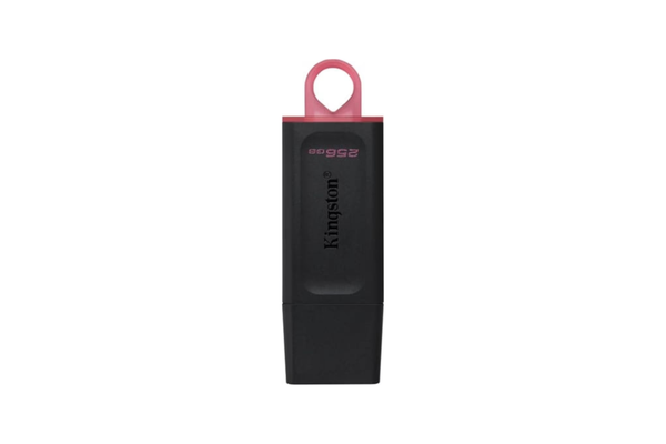 Kingston Exodia USB 3.2 Gen1 DTX/256GB 256 GB Flash Bellek